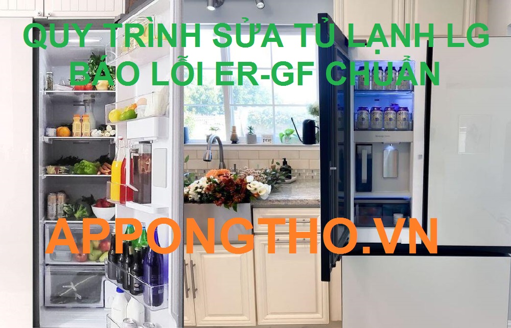 Lỗi ER-GF tủ lạnh LG Side By Side có thể tự sửa được không?